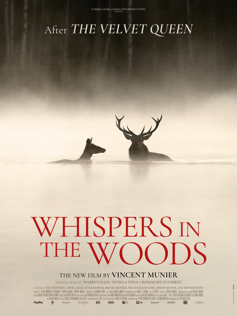 120x160 WHISPERS IN THE WOODS 30-10 BD