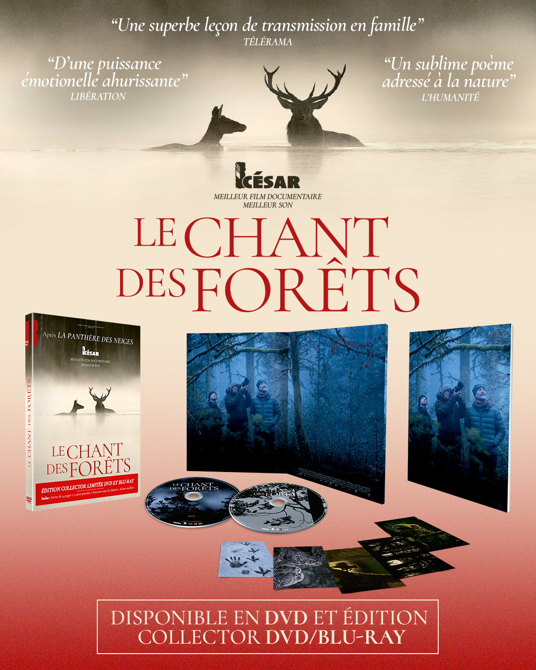 CDF_post RS DVD-ok